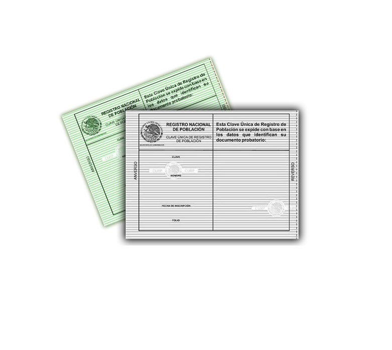 <span style="font-weight: bold;">Impresion de su Curp a color , en negro y Orignal </span>